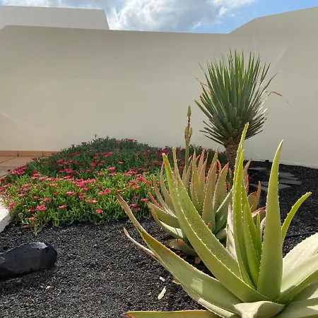 Buganvilla 19 Forever *