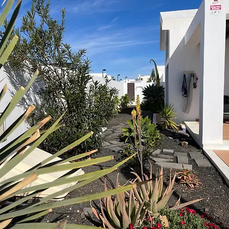 Buganvilla 19 Forever *