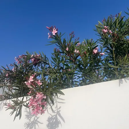 Villa Buganvilla 19 Forever Playa Blanca (Lanzarote)