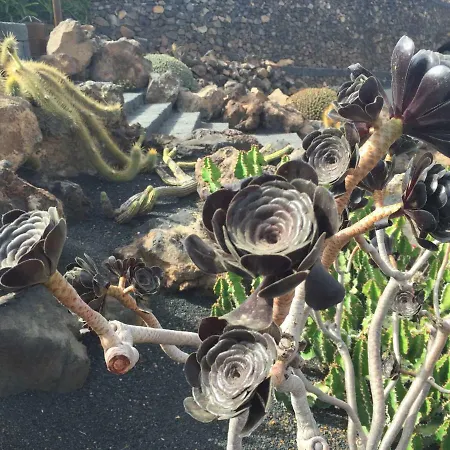 Villa Buganvilla 19 Forever Playa Blanca