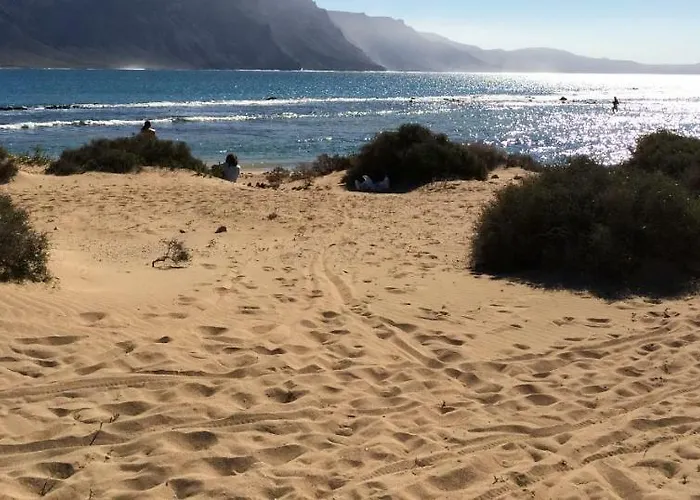 Buganvilla 19 Forever