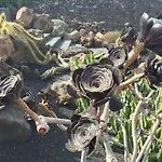 Villa Buganvilla 19 Forever Playa Blanca (Lanzarote)