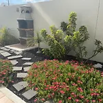 Buganvilla 19 Forever