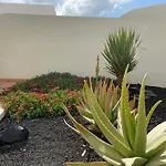 Buganvilla 19 Forever *