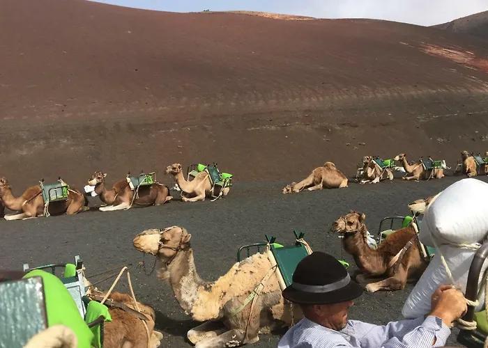 ヴィラ Buganvilla 19 Forever プラヤ・ブランカ