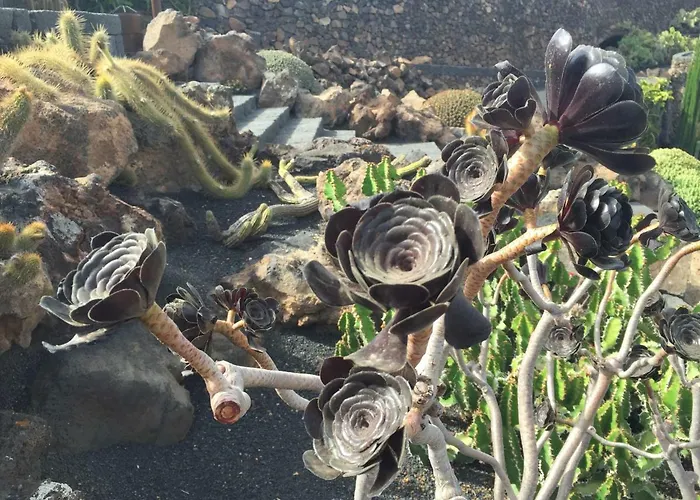 ヴィラ Buganvilla 19 Forever プラヤ・ブランカ