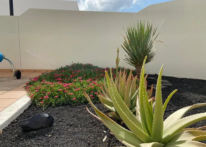 Buganvilla 19 Forever *