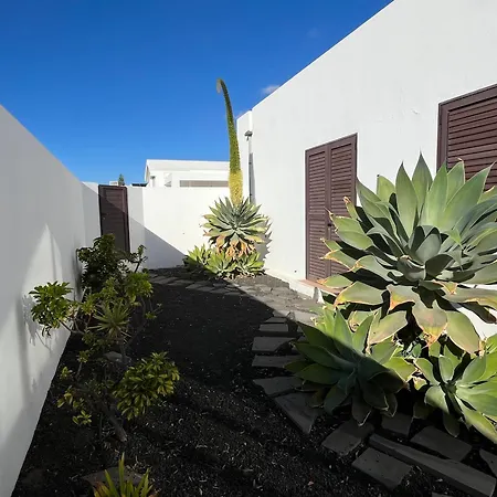 Buganvilla 19 Forever Willa *