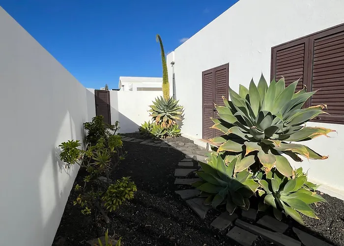 Buganvilla 19 Forever Willa *