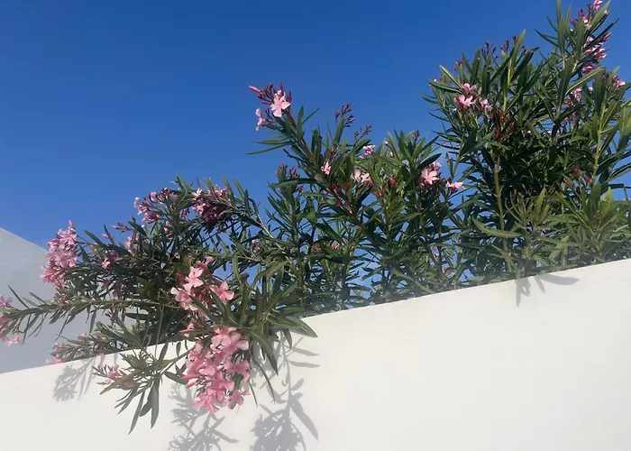 Willa Buganvilla 19 Forever Playa Blanca (Lanzarote)